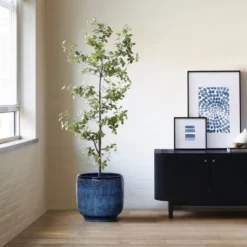 LuxenHome 12-Inch Ocean Blue Ceramic Planter Indoor Outdoor Plant Pot With Drainage Hole And Plug Modern Glazed Round Flower Pot Planter 10 LuxenHome 12-Inch Ocean Blue Ceramic Planter Indoor Outdoor Plant Pot With Drainage Hole And Plug Modern Glazed Round Flower Pot Planter -LuxenHome GUEST 136a9560 fd3e 4838 a516 c8ceb53ad624