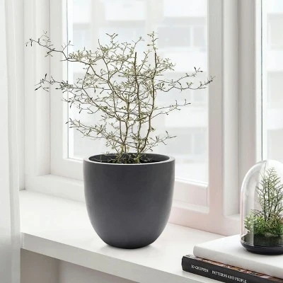 LuxenHome Round Tapered 9.2" H House Planter, Indoor/Outdoor Black 2 LuxenHome Round Tapered 9.2" H House Planter, Indoor/Outdoor Black - Image 2