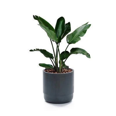 LuxenHome Modern Gray MgO 14.17" Round Planter 6 LuxenHome Modern Gray MgO 14.17" Round Planter - Image 6