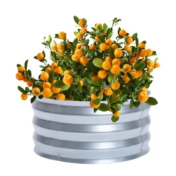 LuxenHome 2ft Round Galvanized Metal Raised Garden Bed Planter -LuxenHome GUEST 8717d912 72b1 4eb5 9f01 bfcfe56e4b76