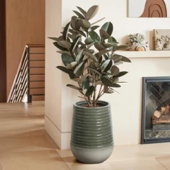 LuxenHome Decorative Resin Planter – Emerald Ribbed Top And Ivory Base With Drainage Hole 12 LuxenHome Decorative Resin Planter – Emerald Ribbed Top And Ivory Base With Drainage Hole -LuxenHome GUEST a9447d30 0b6c 415a 96db 6a7568a28a4d