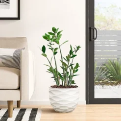 LuxenHome White MgO 11.6-Inch H Waves Round Planter 7 LuxenHome White MgO 11.6-Inch H Waves Round Planter -LuxenHome GUEST d47348c6 cb66 4956 8577 5e7283611479