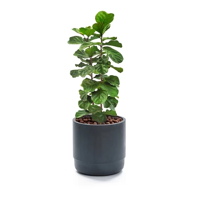 LuxenHome Modern Gray MgO 14.17" Round Planter 5 LuxenHome Modern Gray MgO 14.17" Round Planter - Image 5